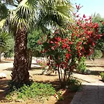 Κατάλυμα σε φάρμα Calamate Gallipoli