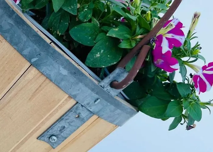 Calamate * Gallipoli