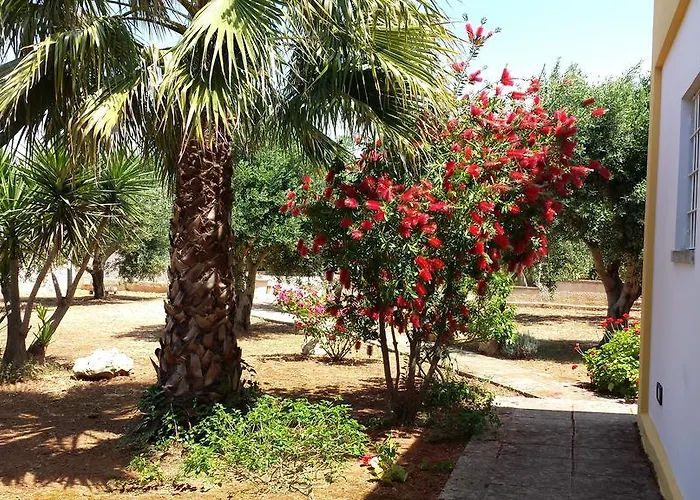 Κατάλυμα σε φάρμα Calamate Gallipoli