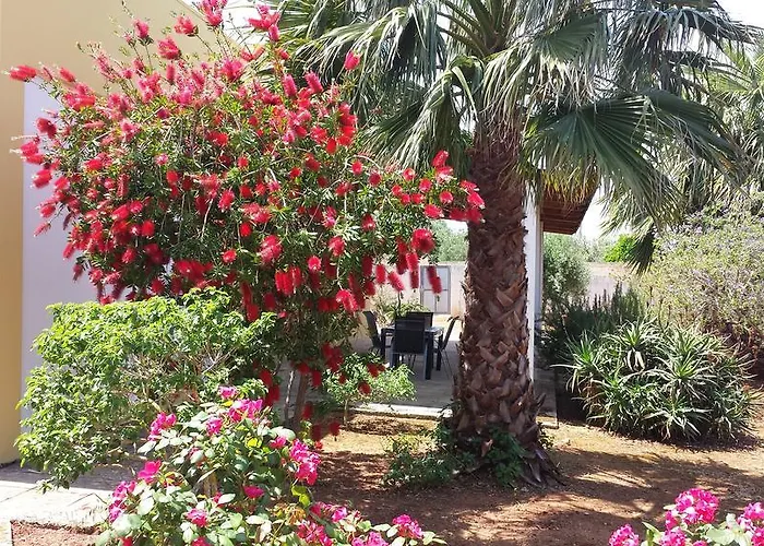 Κατάλυμα σε φάρμα Calamate Gallipoli