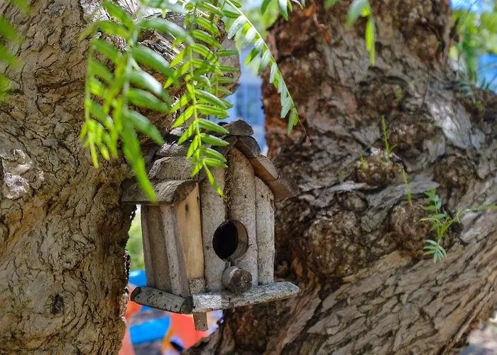 Calamate Κατάλυμα σε φάρμα *